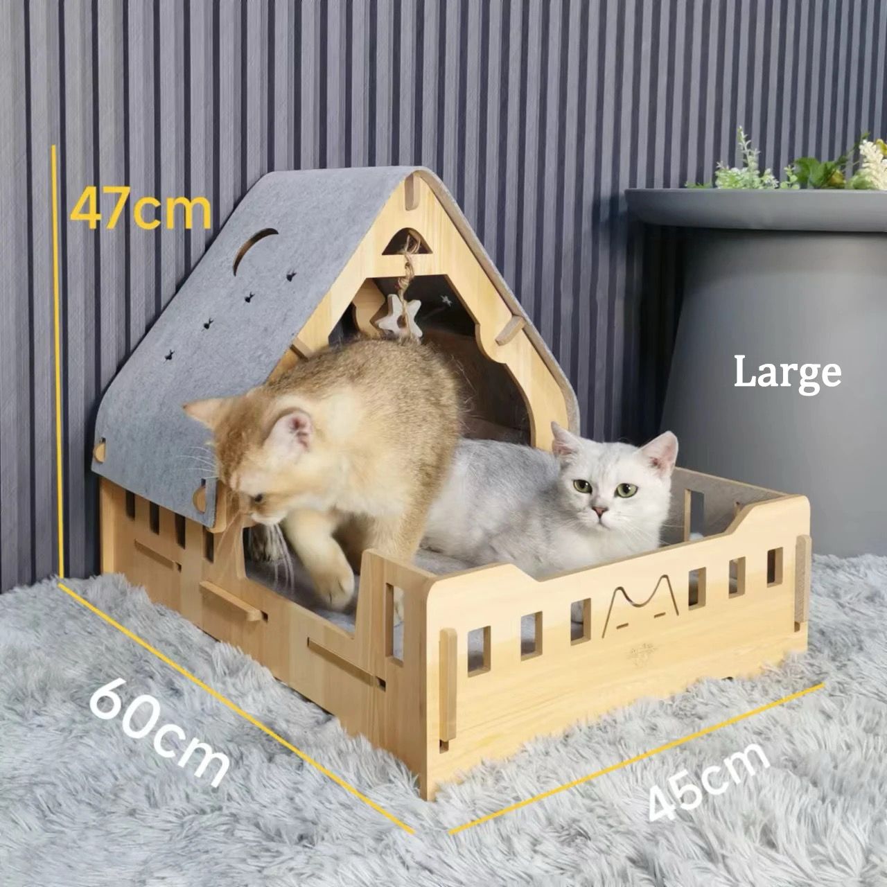 WOODEN CAT CAFE