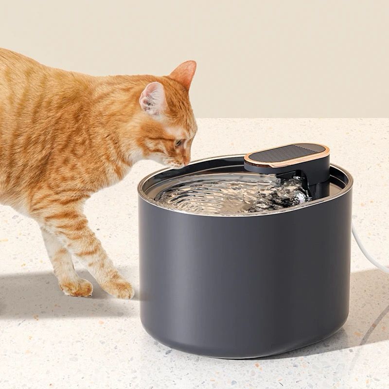 PET ELECTRIC WATER DISPENSER