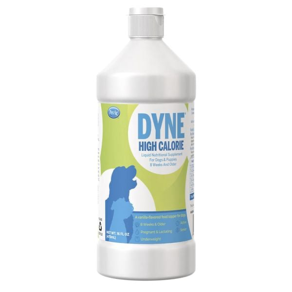 DYNE HIGH CALORIE