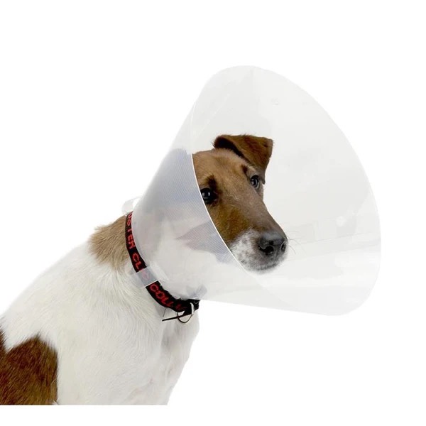 ELIZABETHAN COLLAR