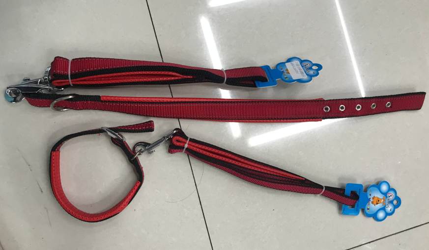 NYLON LEASH COLLAR SET