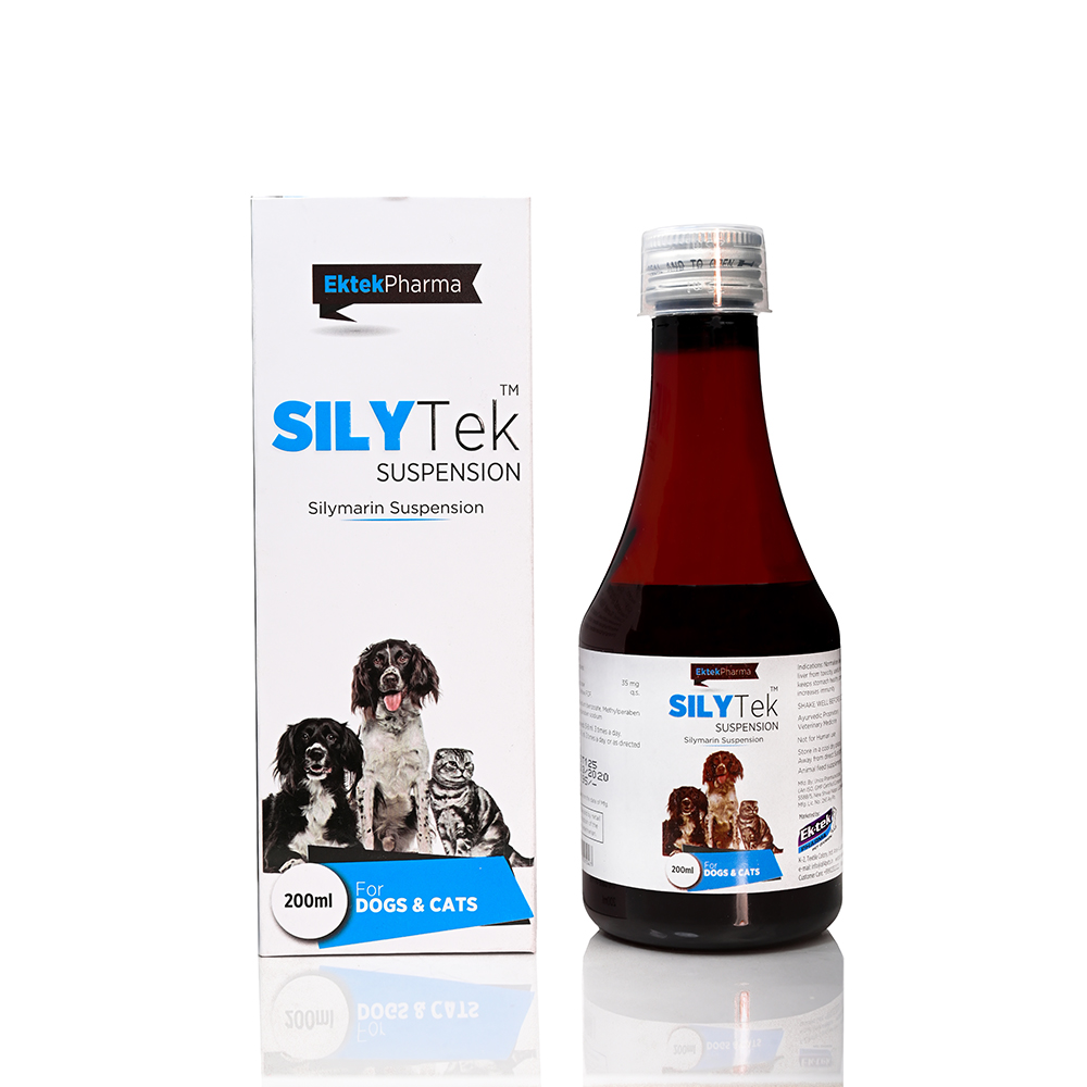SILYTEK SYRUP
