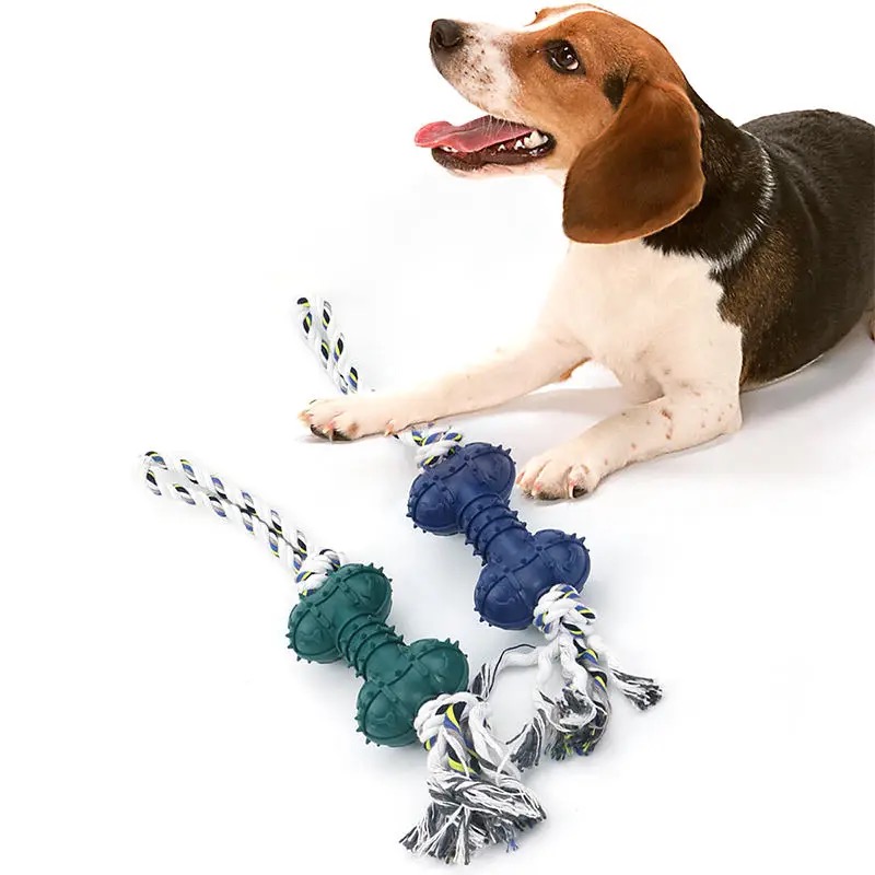 MOLAR BITE BONE TOY