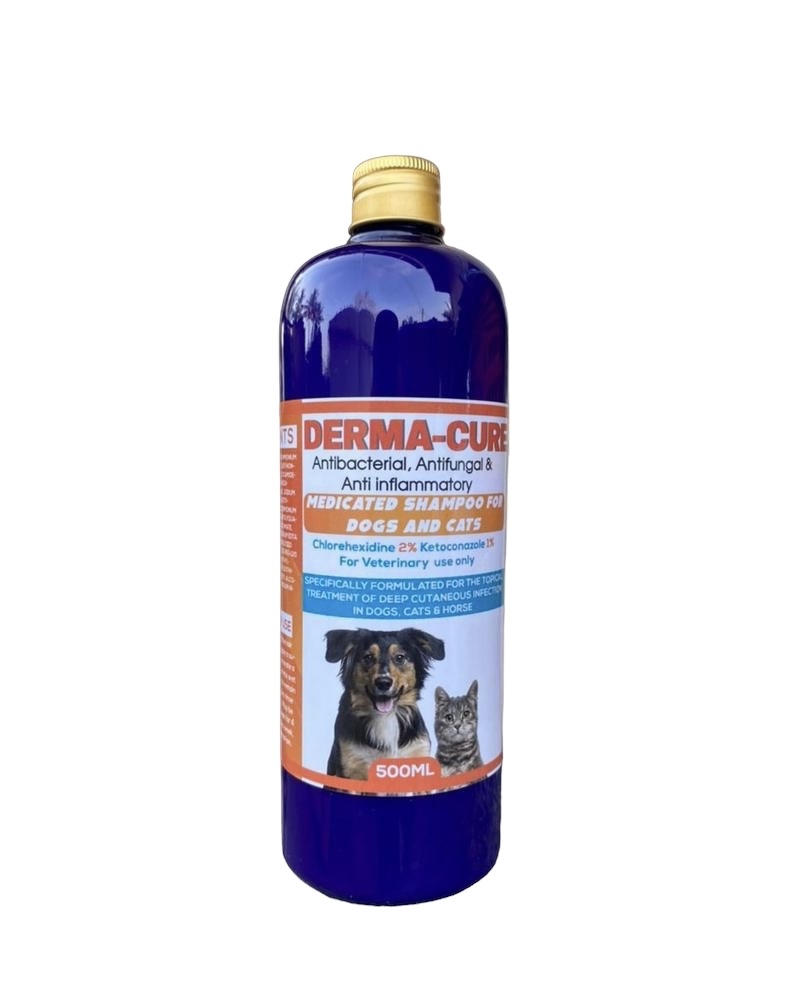 DERMA-CURE MEDICATED SHAMPOO
